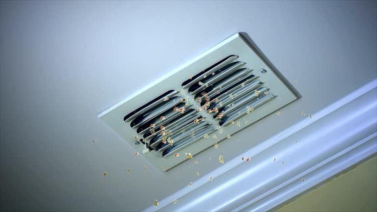 Best Commercial Air Duct Cleaning  in Rutherford, PA